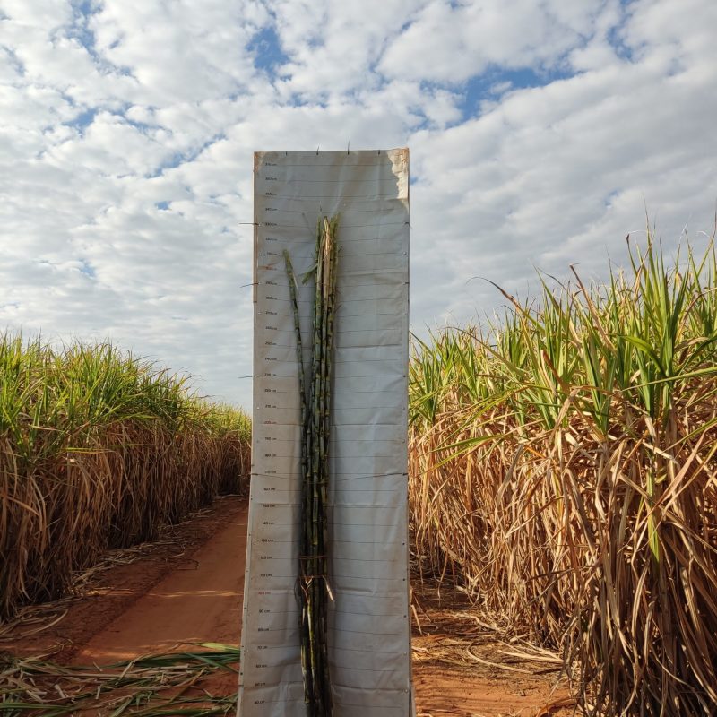 A7_Sem_ponteira_Agroterenas_13.2