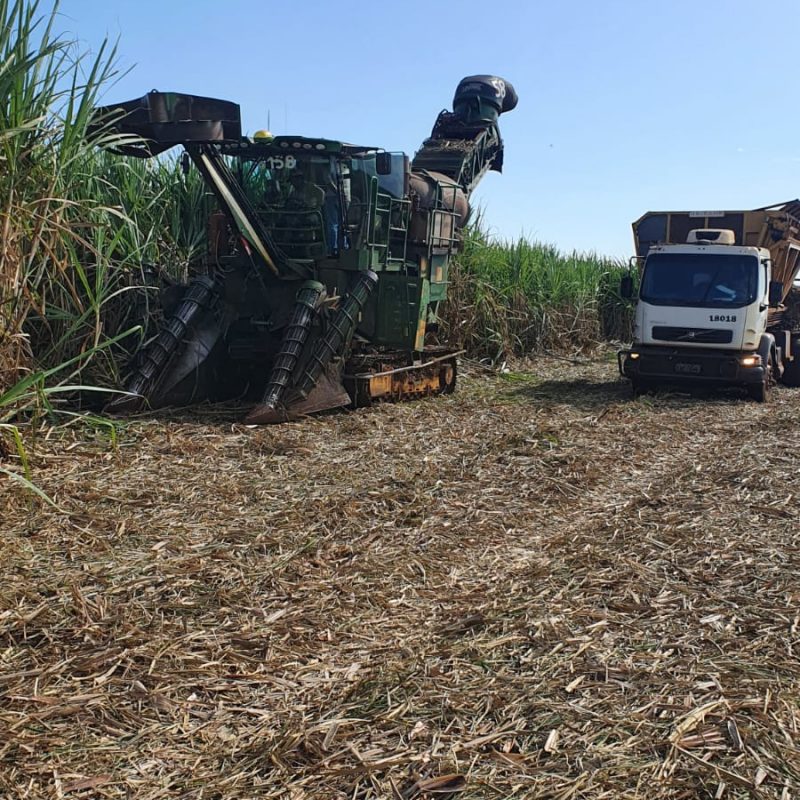 COLHEDORA_Agroterenas_PCEM12_15.06