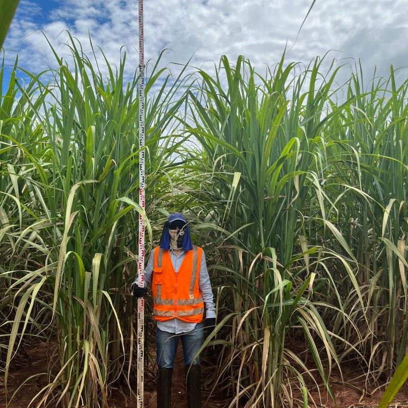 FOTO_COMPARATIVA_C5_PCEM_12_ADECOAGRO