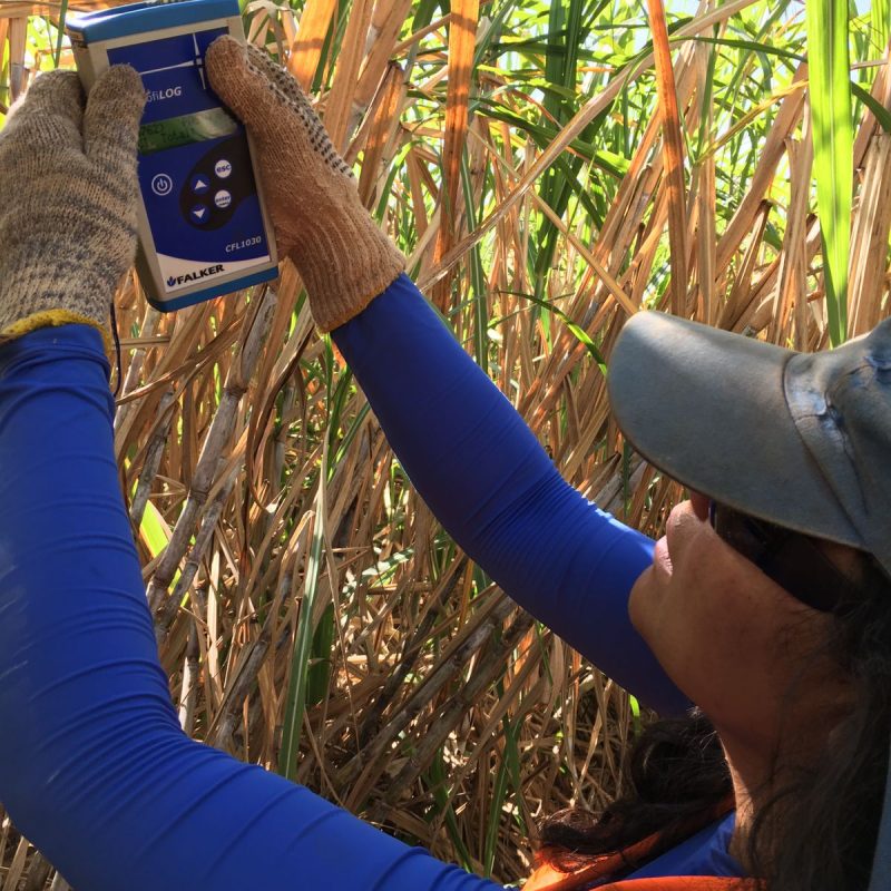 MEDIÇÃO_Clorofila_Avaliações_60_Dias_Após_Segunda_Aplicação_Adecoagro_07.2022